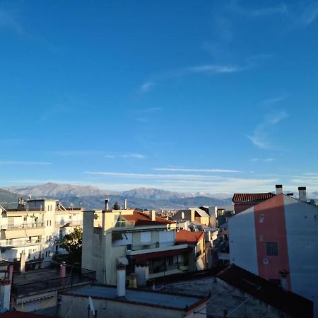 Comfy Urban Apartment Ioannina Exterior photo