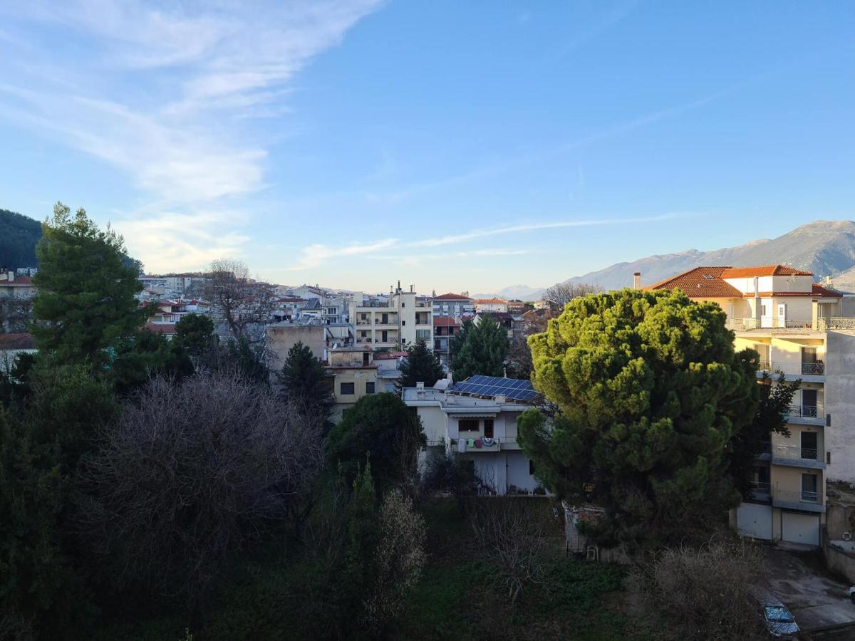 Comfy Urban Apartment Ioannina Exterior photo